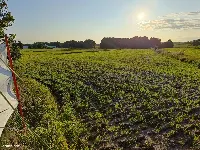 Działka — łódzki wschodni, Rzgów — zdjęcie 15