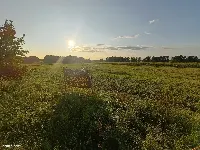 Działka — łódzki wschodni, Rzgów — zdjęcie 2