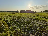 Działka — łódzki wschodni, Rzgów — zdjęcie 6