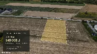 Baszki, działka budowlana 1800 m², 33 m frontu, bezpośrednio — zdjęcie 1
