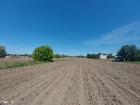 Działka na sprzedaż 4812 m² - Mikołów, Paniowy — zdjęcie 1