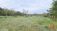 Pensjonat nad zalewem Siemianówka! — zdjęcie 3
