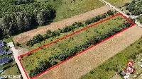 Działka rolno-budowlana 5528 m2 — zdjęcie 4