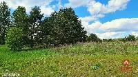 Działka rolno-budowlana 5528 m2 — zdjęcie 5