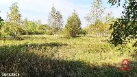 Ciasne. Działka budowlana 5100 m2. — zdjęcie 2