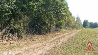 Ciasne. Działka budowlana 5100 m2. — zdjęcie 3