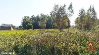 Ciasne. Działka budowlana 5100 m2. — zdjęcie 4