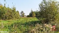 Ciasne. Działka budowlana 5100 m2. — zdjęcie 5