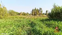 Ciasne. Działka budowlana 5100 m2. — zdjęcie 6