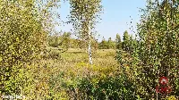 Ciasne. Działka budowlana 5100 m2. — zdjęcie 7