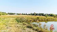 Ciasne. Działka budowlana 5100 m2. — zdjęcie 8
