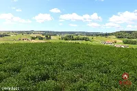 Działka rolno budowlana gmina Rutka-Tartak — zdjęcie 8