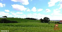 Działka rolno budowlana gmina Rutka-Tartak — zdjęcie 1