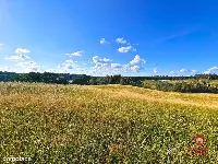 Działka budowlana pod usługi turystyczne - Mazury — zdjęcie 3