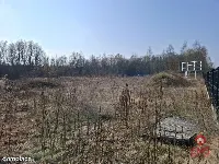 Działka usługowa w super lokalizacji — zdjęcie 6