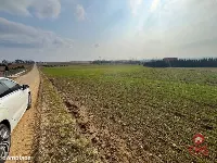 Tereny inwestycyjne w Nowym Aleksandrowie — zdjęcie 4