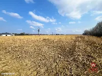 Tereny inwestycyjne w Nowym Aleksandrowie — zdjęcie 5