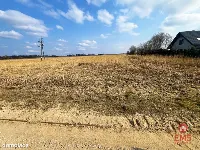 Tereny inwestycyjne w Nowym Aleksandrowie — zdjęcie 6
