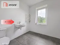 * Dom na dużej działce z własnym lasem k/Szubina — zdjęcie 13