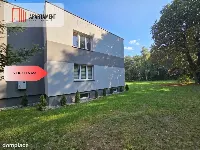 * Dom na dużej działce z własnym lasem k/Szubina — zdjęcie 17