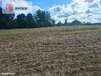 Działka przy lesie idealna dla ceniących spokój — zdjęcie 3