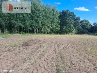 Działka przy lesie idealna dla ceniących spokój — zdjęcie 4