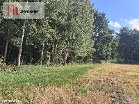 Działka przy lesie idealna dla ceniących spokój — zdjęcie 7