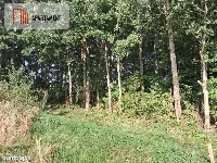 Działka przy lesie idealna dla ceniących spokój — zdjęcie 8