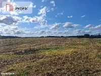 Działka przy lesie idealna dla ceniących spokój — zdjęcie 9