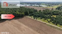 Działki  z WZ – Grabowiec k. Iławy — zdjęcie 7