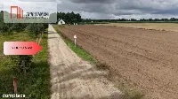 Działki  z WZ – Grabowiec k. Iławy — zdjęcie 9