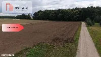 Działki  z WZ – Grabowiec k. Iławy — zdjęcie 11