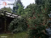Przytulny dom- Szczawno-Zdrój. — zdjęcie 22