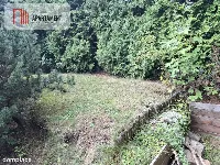 Przytulny dom- Szczawno-Zdrój. — zdjęcie 24