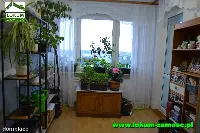 Mieszkanie M5 pow. 74 m2, Zamość ul. Zamoyskiego — zdjęcie 14