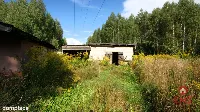 Siedlisko w otulinie Puszczy Knyszyńskiej — zdjęcie 5