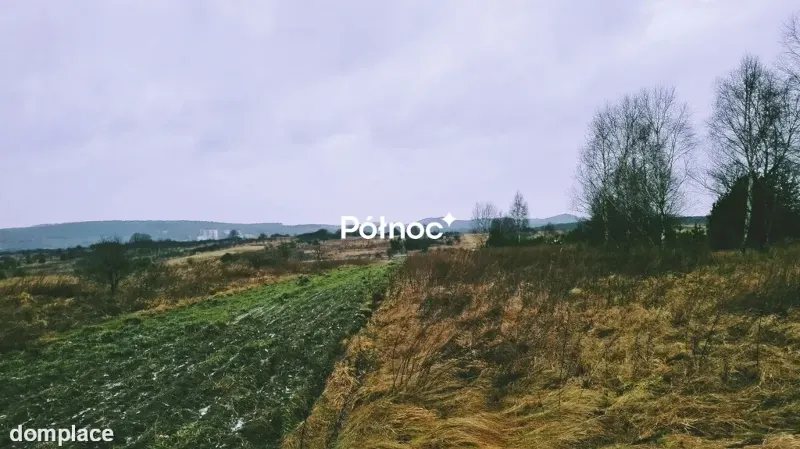 Działka — BYDLIN