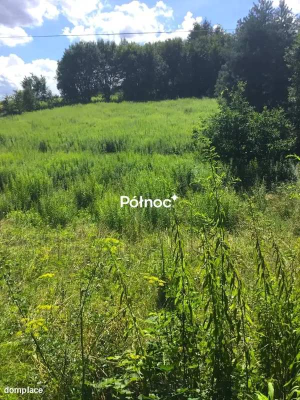 Działka zagrodowa z Minodze