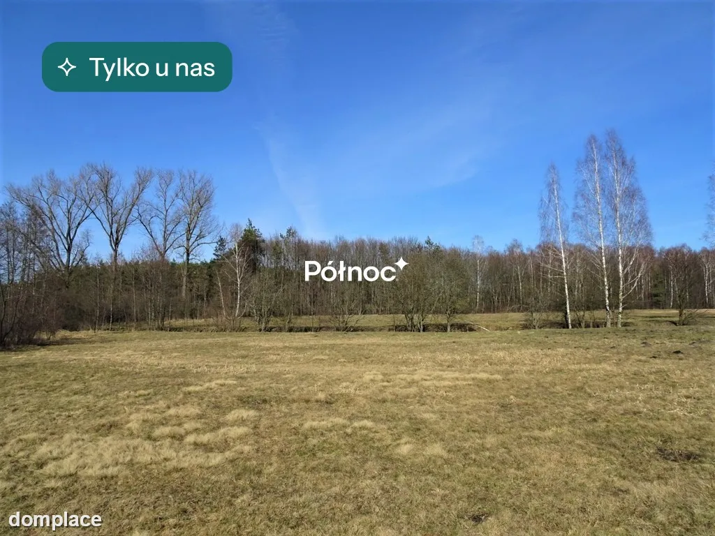 Łąka i las w Cieleśnicy