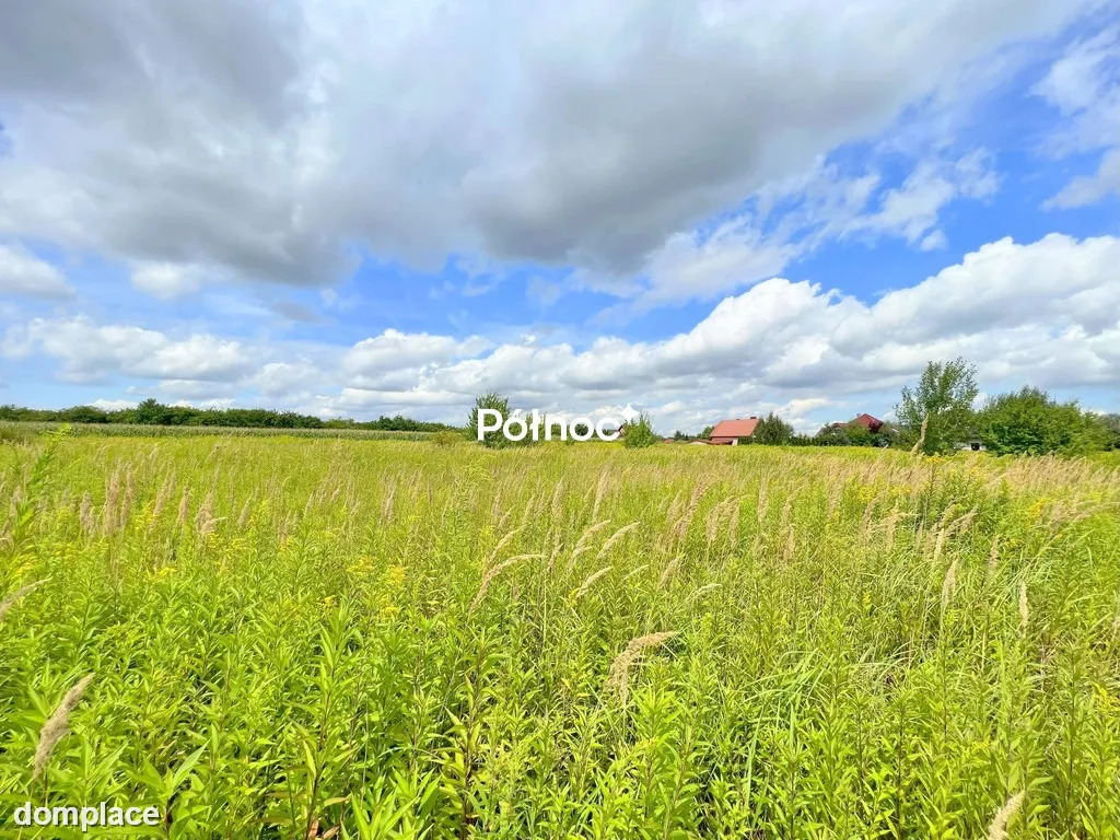 1,30ha, Bielawa, Długołęka