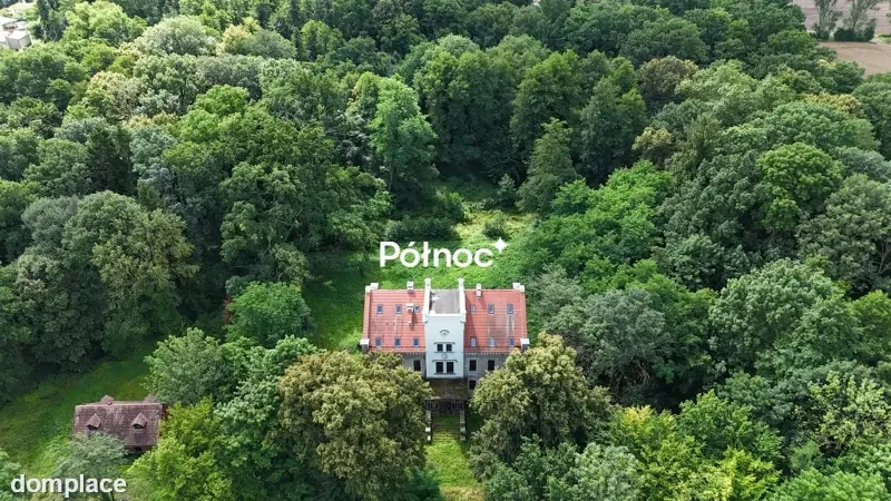 Pałac w Liścu, duża działka, park, stawy