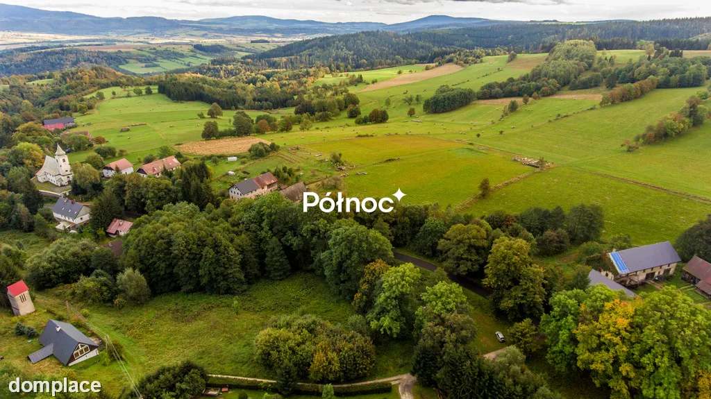 Działka w górach 47 arów Gniewoszów / Międzylesie