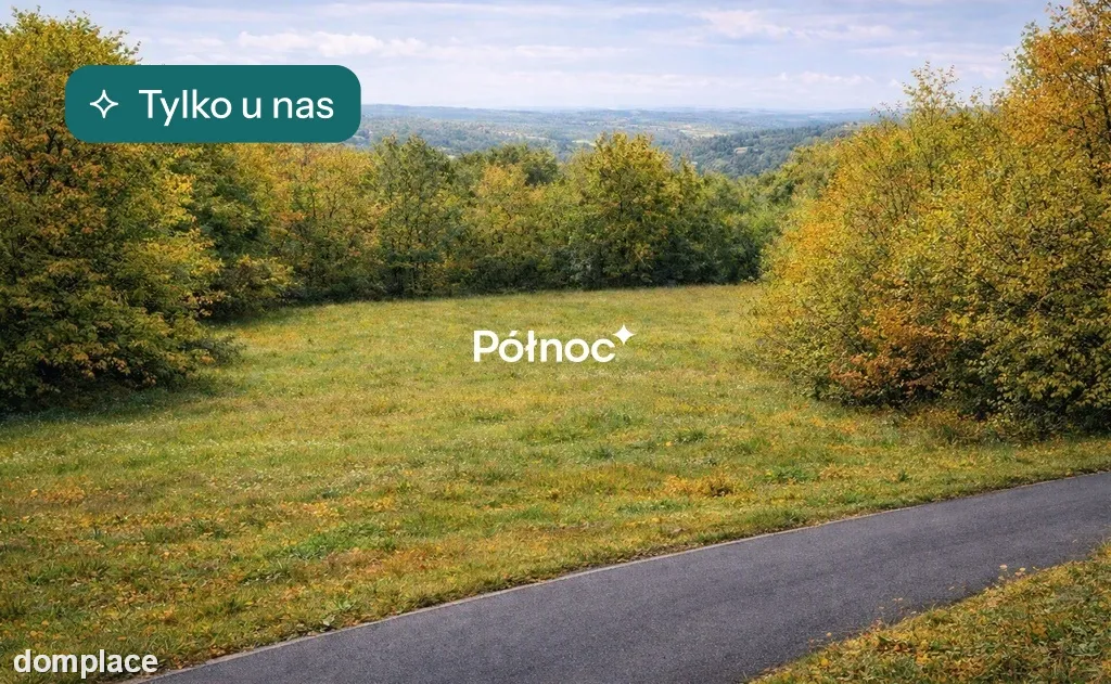 Duża działka budowlana/24,5a/Bochnia/Nowy Wiśnicz