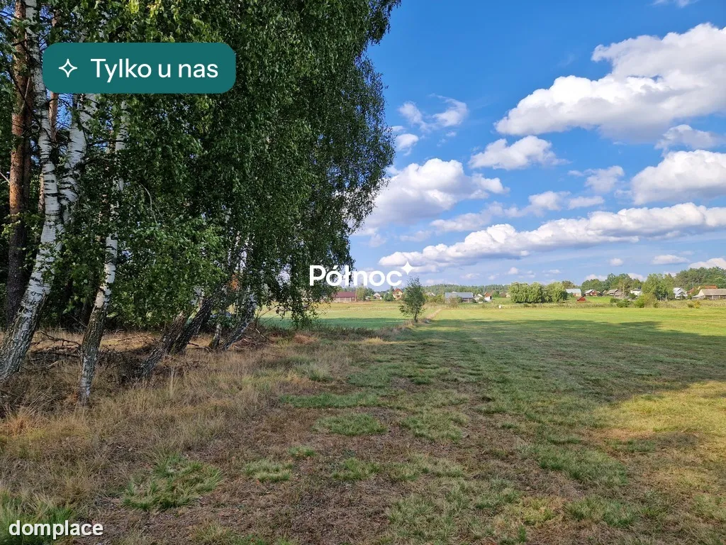 Działka leśna 0,3776 ha Krynickie gm. Zabłudów