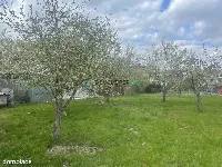 Działka zabudowana, uzbrojona przy asfalcie — zdjęcie 5