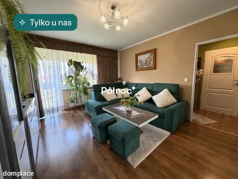 kawalerka w Gryfowie Śląskim