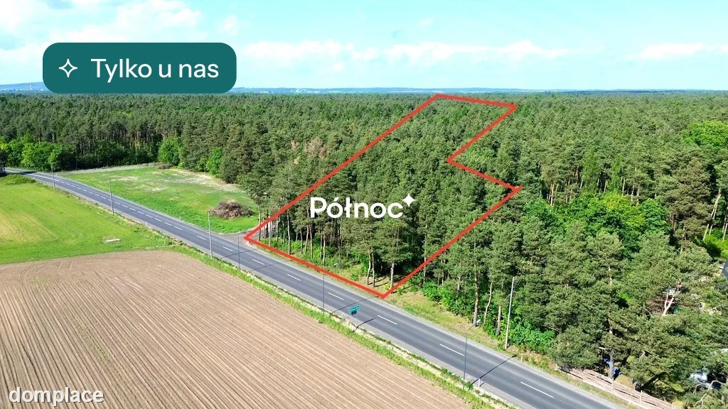 Idealna lokalizacja! 60zł/m²! W samym sercu lasu !