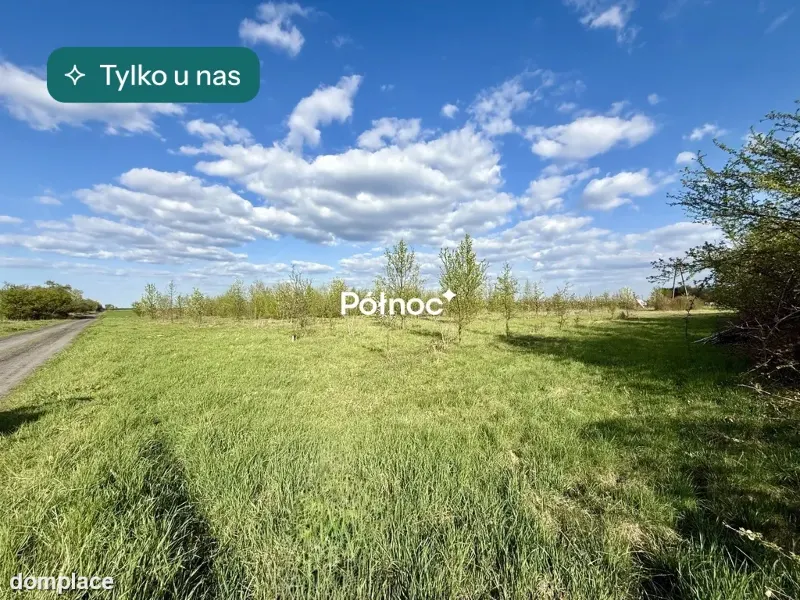 Działka z wydanymi warunkami zabudowy, Dryżyna