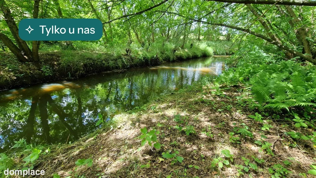 Duża działka rekreacyjna 2740 m² | ul. Królewska