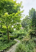 Lokal użytkowy — Kraków, Śródmieście — zdjęcie 14